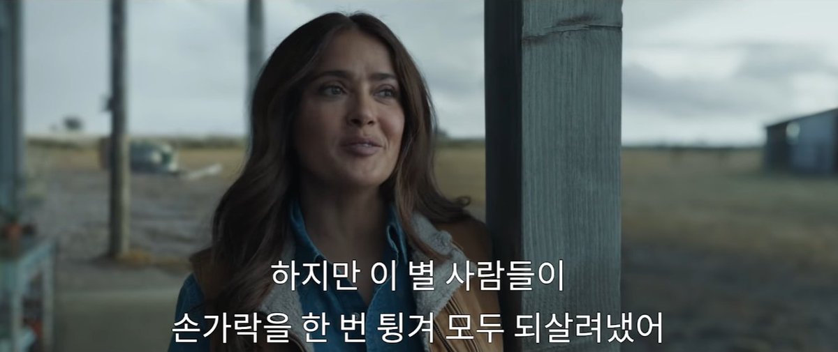 김토솜 tweet media