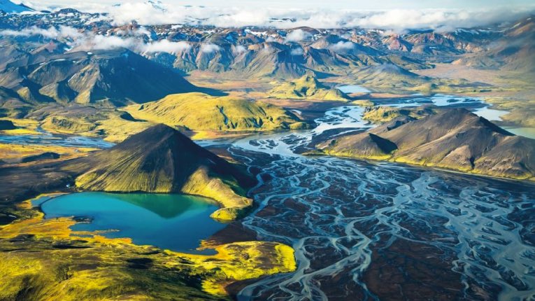 Florida Film Festival tweet media