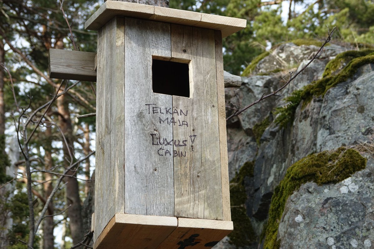 psuurone's tweet photo. Päätinpä pääsiäisen kunniaksi rakentaa meidän saaren mukavalle telkkä-pariskunnalle uuden luxus-condon kaikilla mukavuuksilla, mukaan lukien ilmastointi. --- In honor of Easter I decided to build a new luxury-condo for our goldeneye couple. #telkkä #pönttö #puhde #CommonGoldeneye https://t.co/oQNVWS6LMD