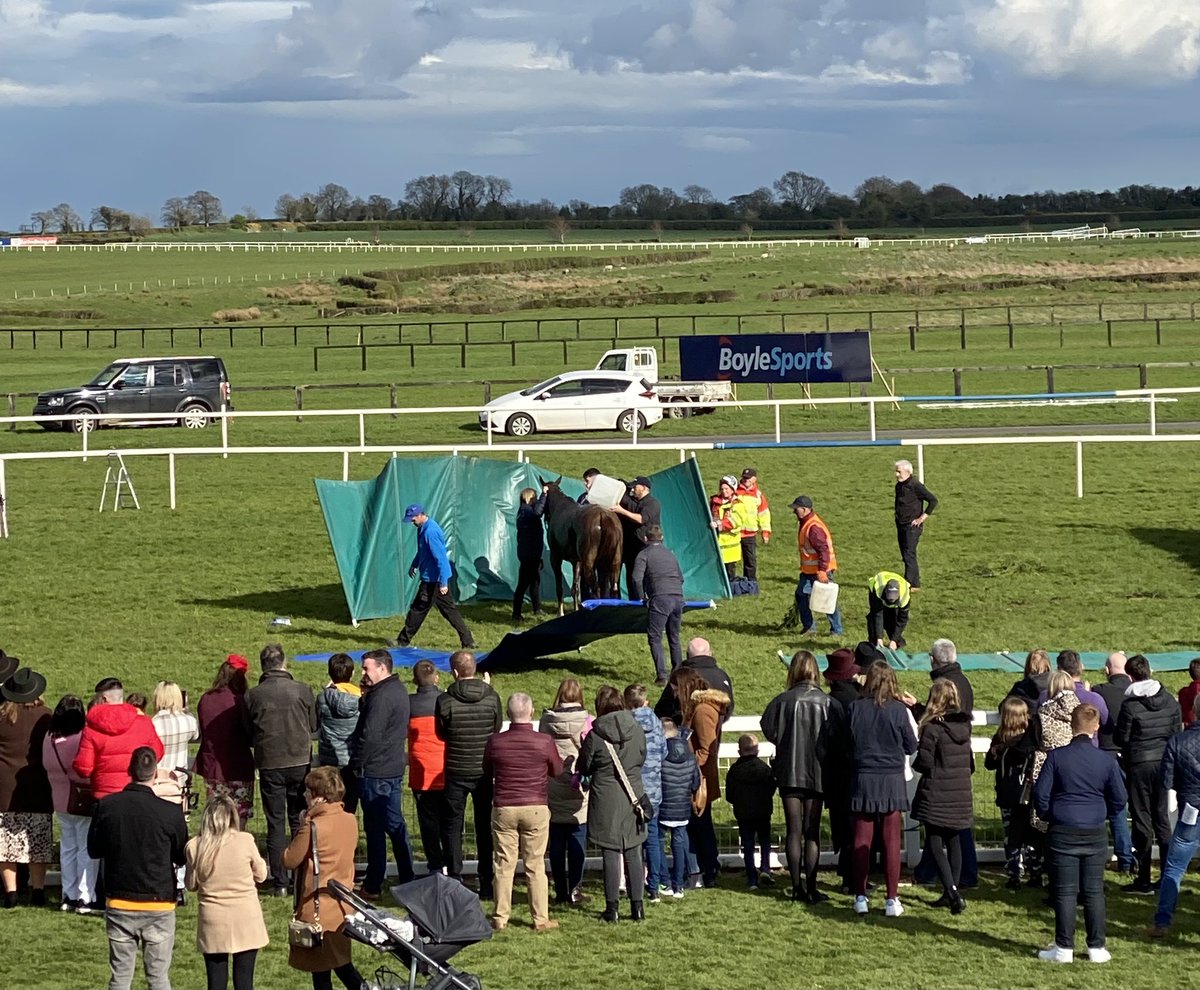 DanielHussey2's tweet photo. Biggest cheer of the day is for Ronald Pump who is up after his fall at the last https://t.co/cxQmkVhSOx