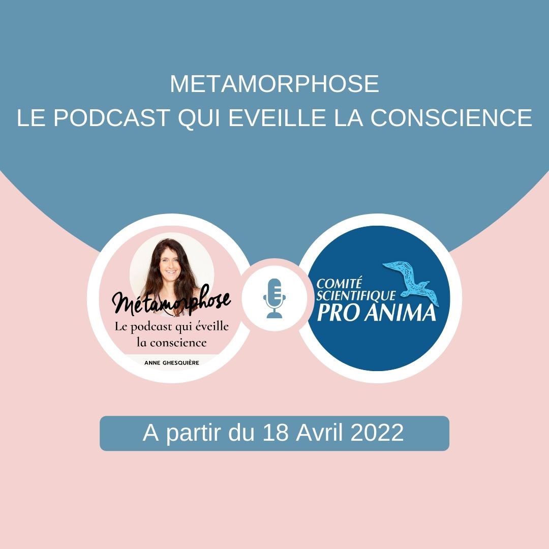 ComiteProAnima's tweet photo. 🌸 Ayant l’honneur d’être partenaire de #Métamorphose
👂🎧 Vous avez désormais la possibilité d’écouter un spot audio avant chaque podcast qui éveille la conscience, présentant notre message pour le #PrixEthicScience2022 🧬🥇
#prixethicscience #podcast #proanima https://t.co/fPP6brhoAT