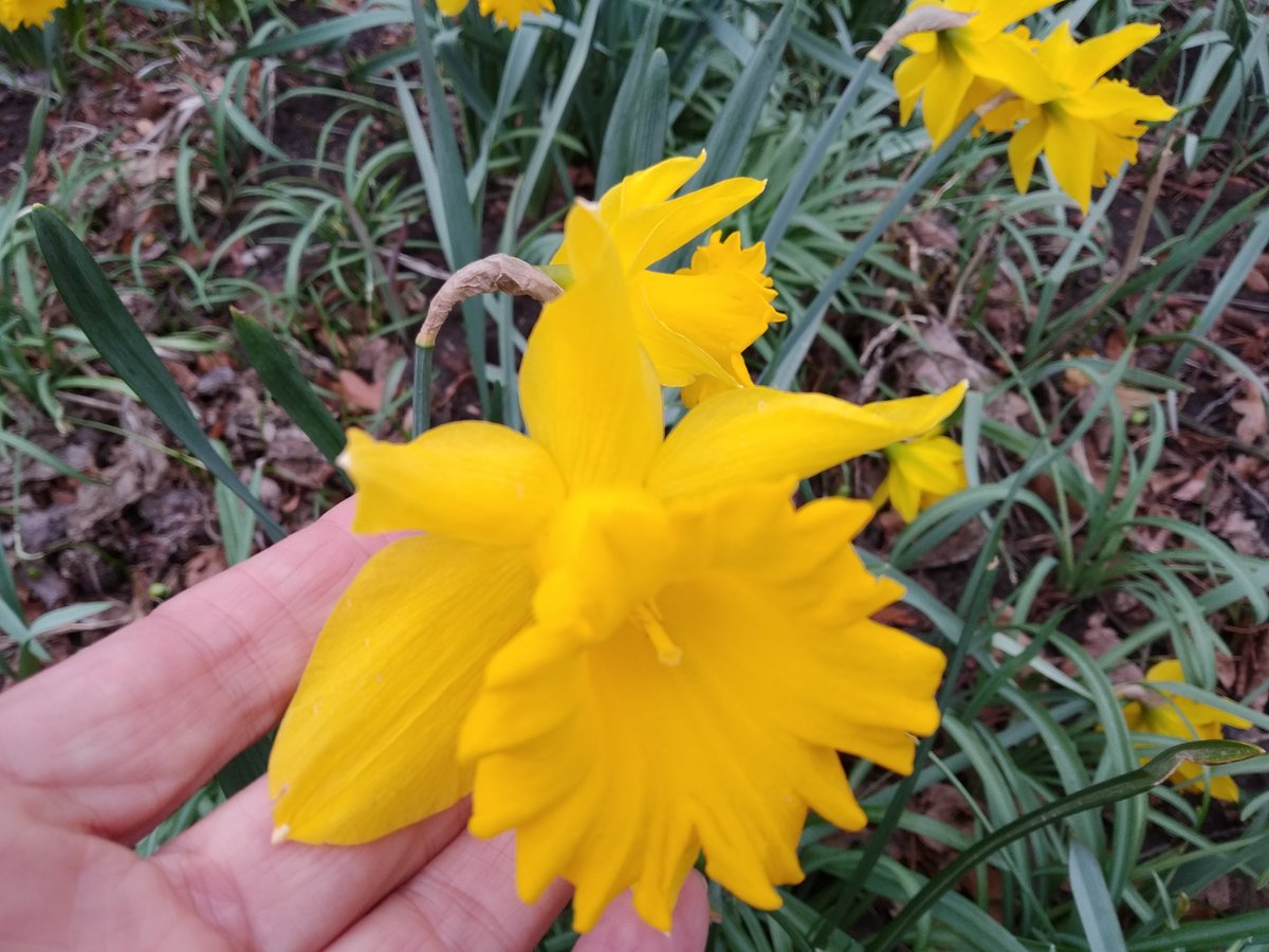 Wünscht Du Dir Dein beglückendes Lebensziel zu finden? Ja? Hier findest Du mehr Infos:
gluecklich.maerchenhaft-leben.de/lebensziel/