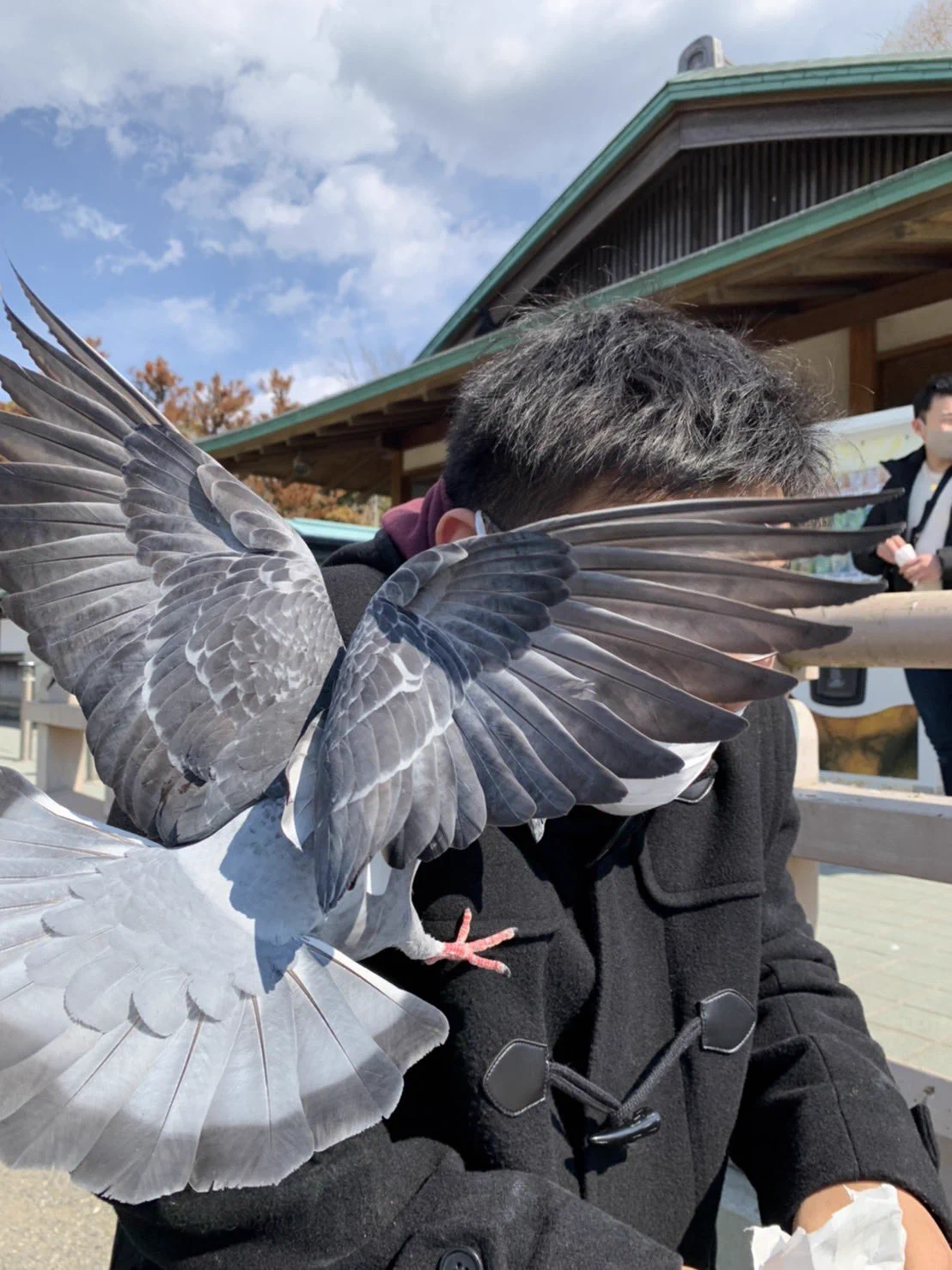 @Iska_TOSHIKAZU 鎌倉で似たような状況になったの懐かしっ 