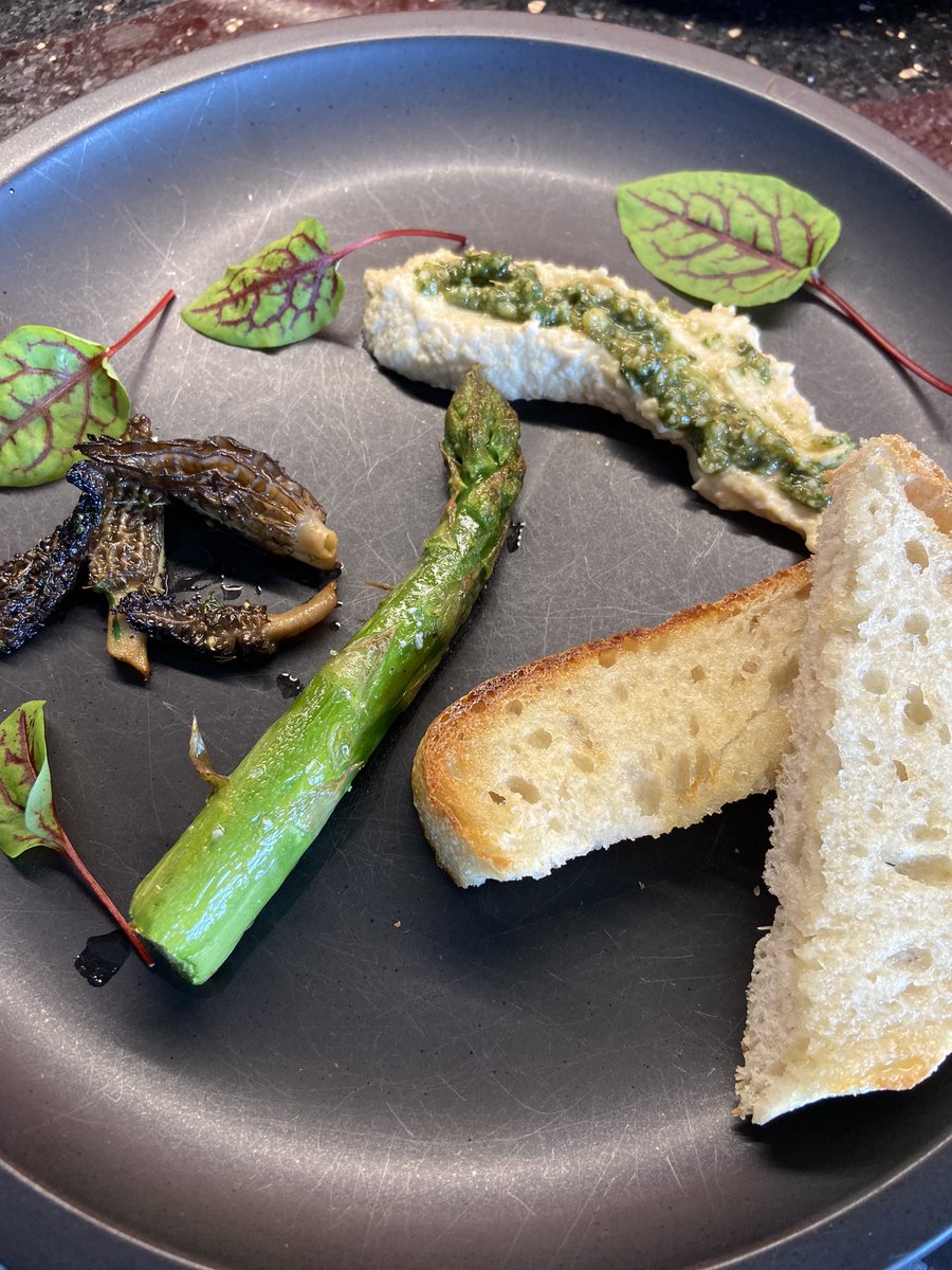 Spring #morel #mushrooms harvest from my own garden! Absolutely delicious #local #homegrown #food #mushrooms #foraged #inseason