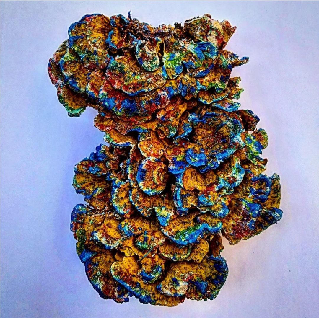 VitaliyGing's tweet image. 1/8🧵
My curiosity and adventurism has always brought unexpected results.  It often drove me into a dead end, from which I always found a non-standard way out.  I see possibilities and find connections in seemingly unrelated things.
  🧵👇👇👇