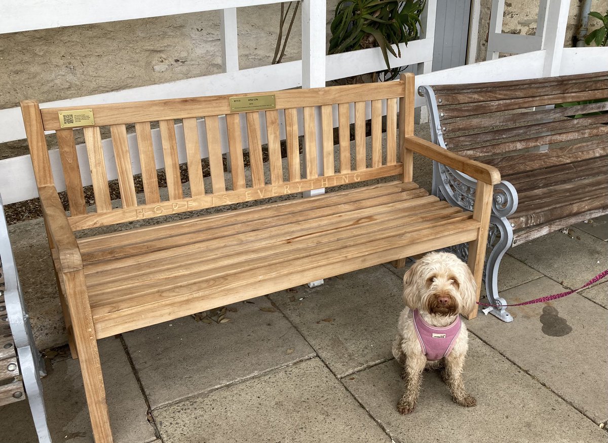 @rickygervais pinched my friend’s dog Nellie for a selfie at the #AfterLife bench at Falmouth, Cornwall today #HopeIsEverything ❤️