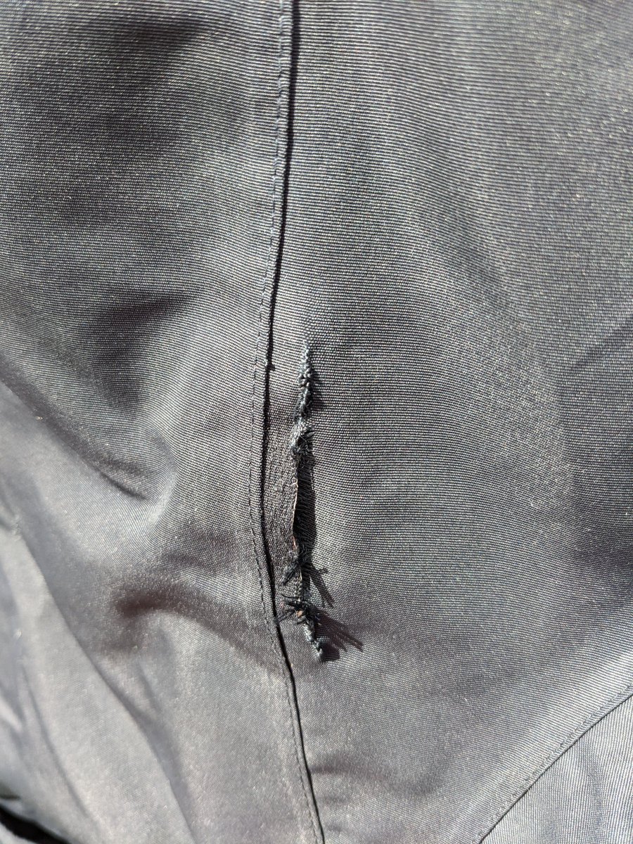 Laura Saalfeld tweet media