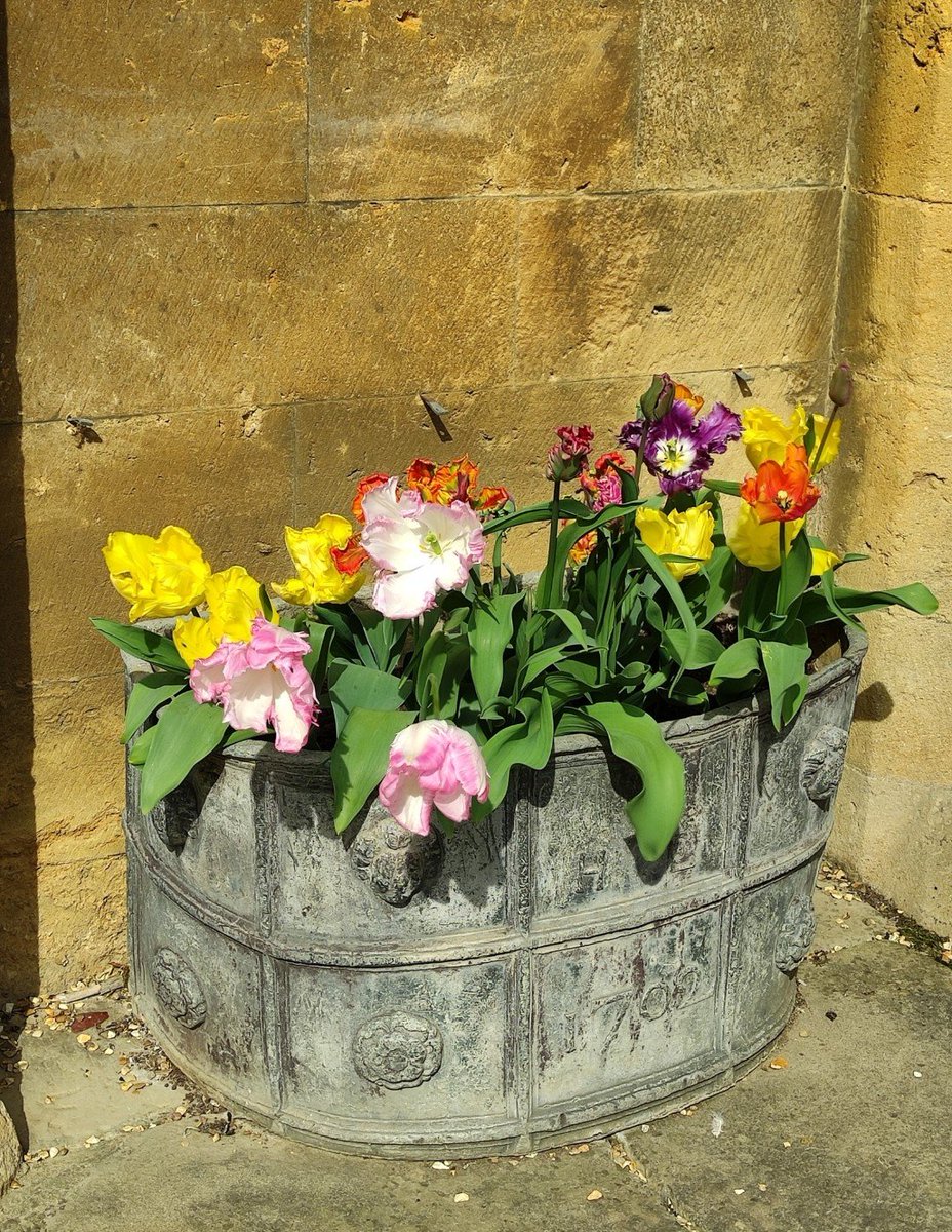 AldaKreiter's tweet photo. #BankHolidayMonday
#easterweather π
#oxfordshire https://t.co/QSkSUqidHj