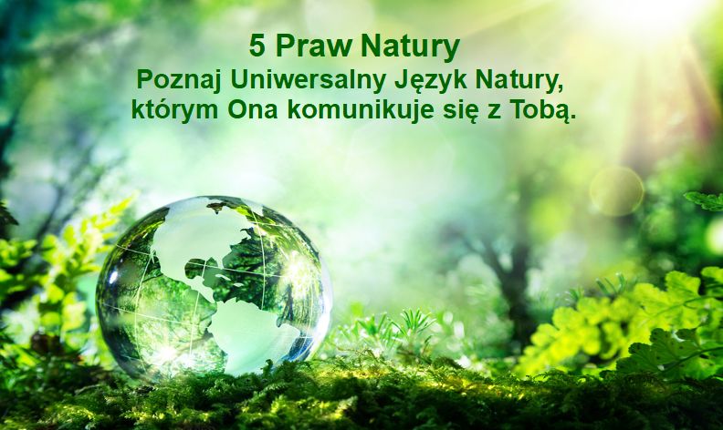 glosgminny's tweet photo. Pięć Praw Natury - Trzecia rewolucja w medycynie. Koniec raka? Głos Gminny - https://t.co/1XBRm2vLbM https://t.co/3ubE52bpG6