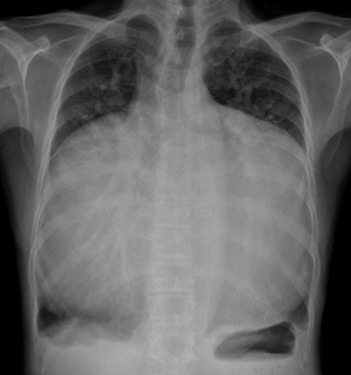 bade_dr_sahab tweet media