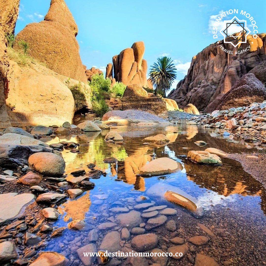 destinationmoro's tweet photo. Explore the amazing scenery of nature in the exciting bustling cities of Morocco! Aren't the volcanic rock formations of Tislit Gorges at Taliouine absolutely awe-inspiring?
#discovermorocco #travelmorocco #gorges #tislit #marrakech #rock #marrakechtravel #morocco #moroccotravel https://t.co/ojQUkDDh3M