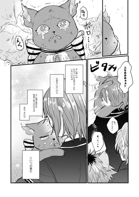 小エビの取扱説明書side🐱③ 