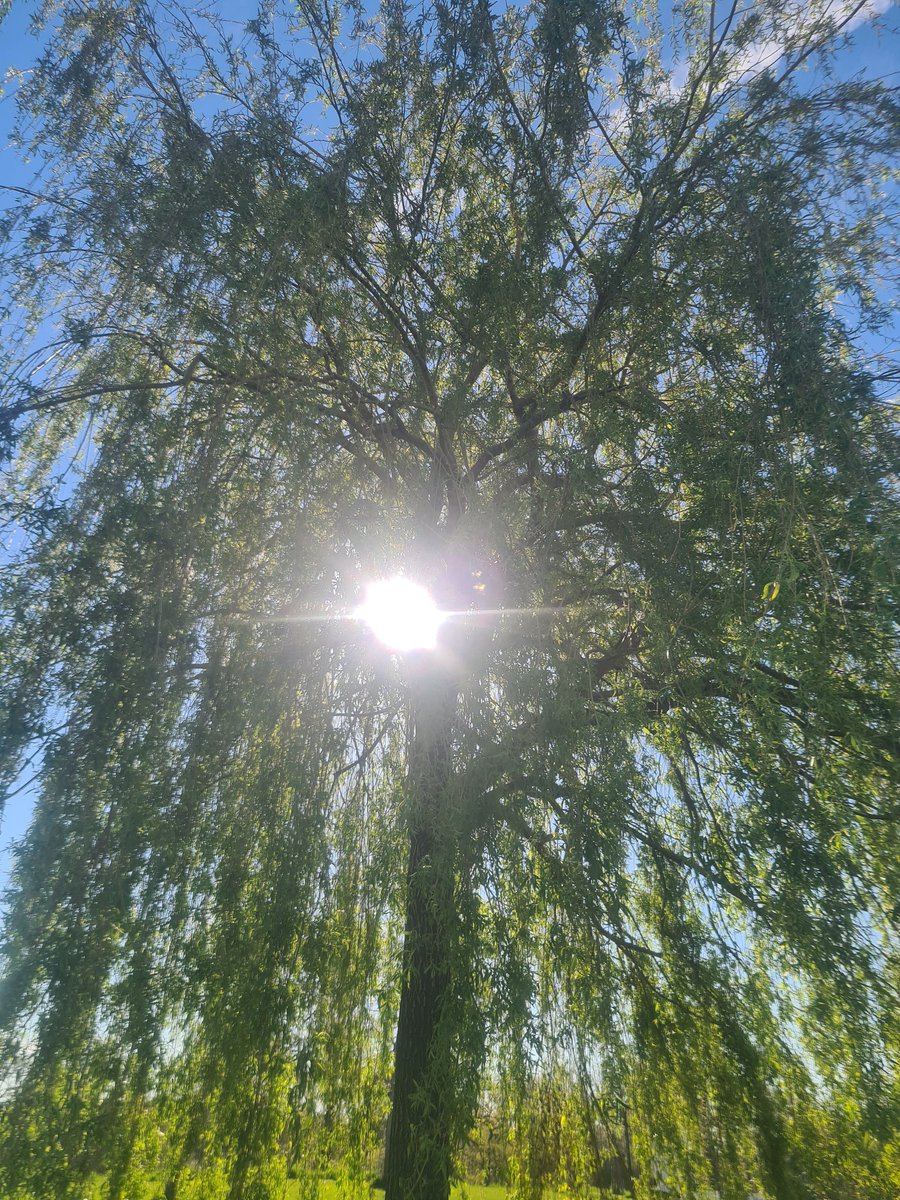 19John55's tweet photo. Wat een prachtige dag vandaag ben heerlijk aan de #wandel rond om #abdij #rolduc onze trots van #Kerkrade 😁👍 https://t.co/T7z20yQvA1