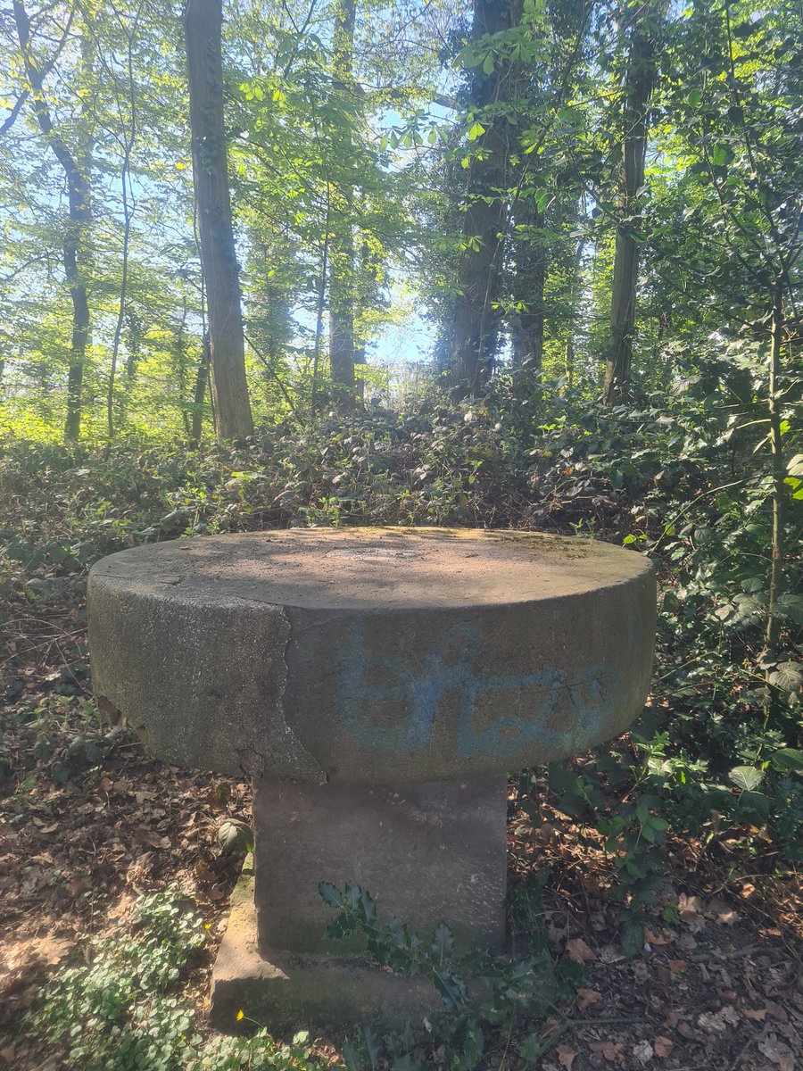 19John55's tweet photo. Wat een prachtige dag vandaag ben heerlijk aan de #wandel rond om #abdij #rolduc onze trots van #Kerkrade 😁👍 https://t.co/T7z20yQvA1