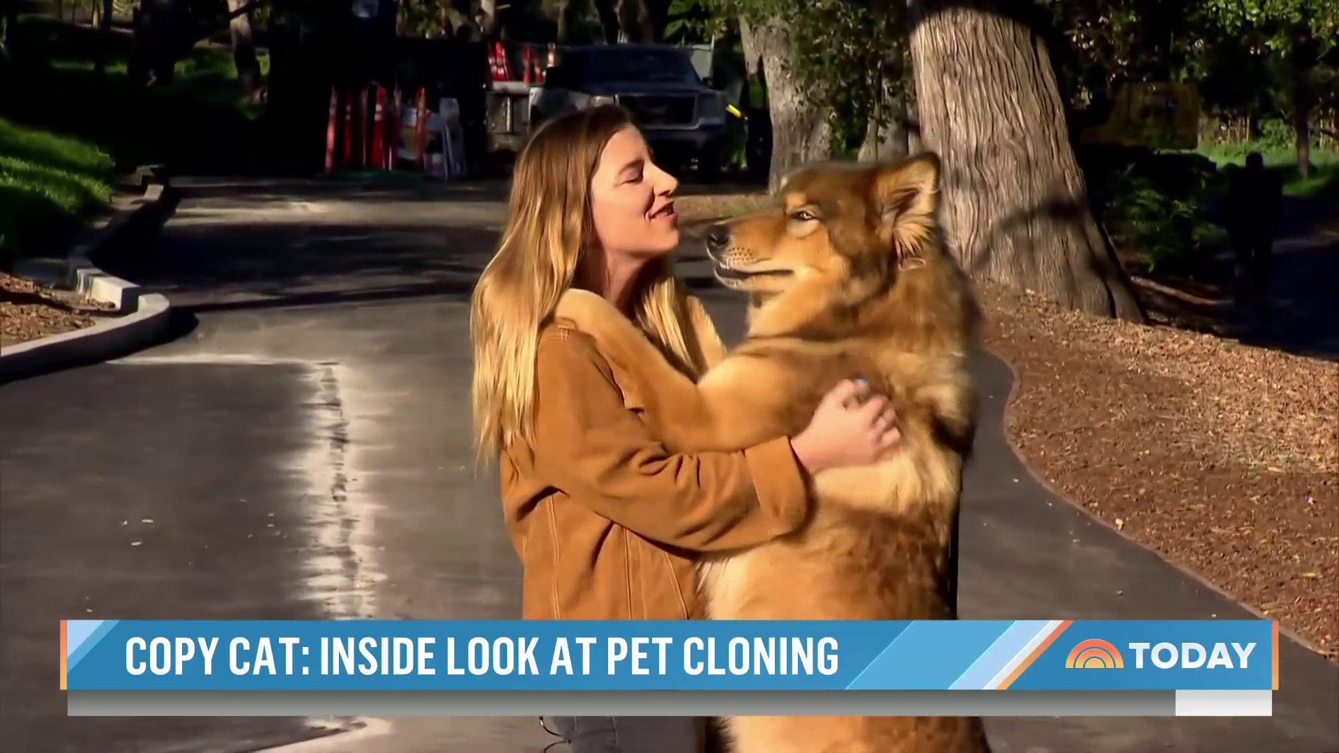 TODAY on Twitter "Social media influencers are putting an entirely new(01)