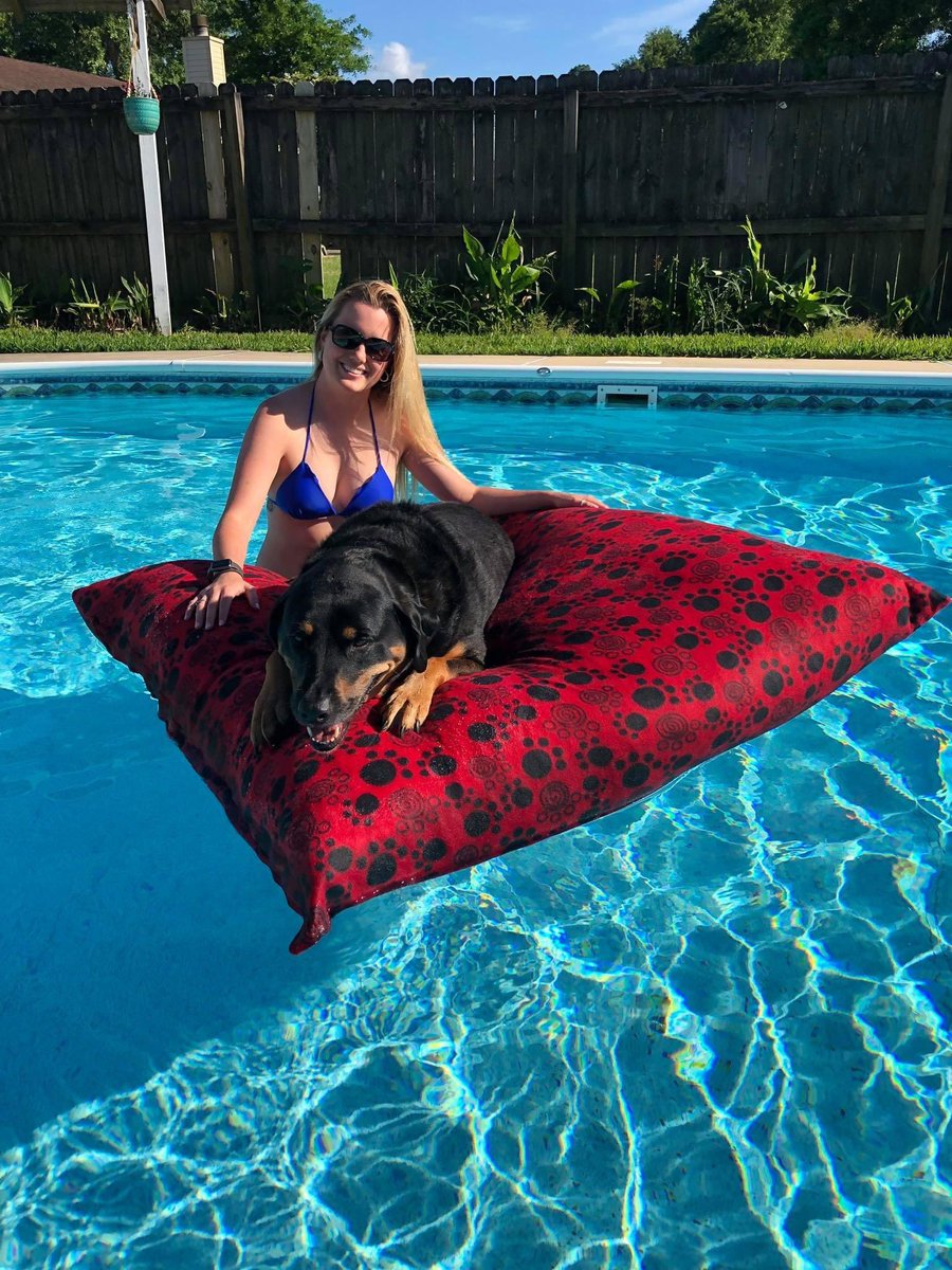 Furbaby Bean Beds LLC tweet media
