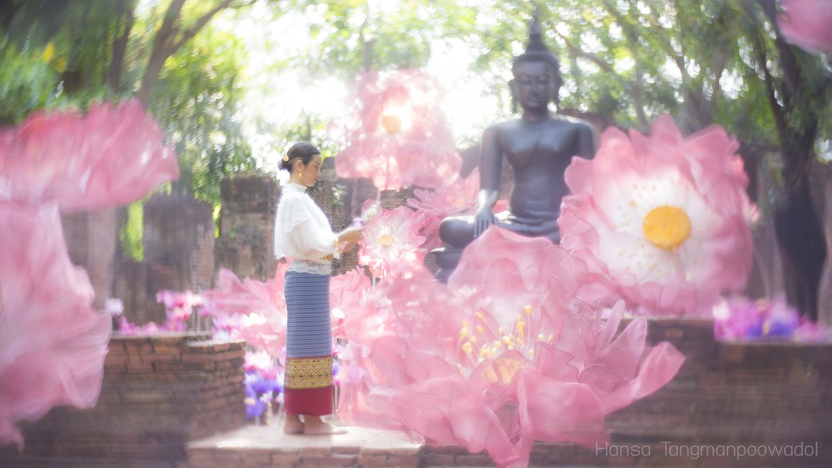 khunmoohan's tweet photo. NaSatta Summer Carnival 22
ขอบคุณ ณ สัทธา อุทยานไทย จ.ราชบุรี
งานเริ่ม 13 เมษานี้ ถึง 29 พฤษภา 65 @j.mmiinne
Canon x Petzval
#SongkranFestival2022 #Flowers #Summer #ราชบุรี #ณสัทธาอุทยานไทย #ดอกไม้ #Flower  #ไทยเที่ยวไทย #Thailand #amazingไทยเท่ #ททท
#NaSattaSummerCarnival2022 https://t.co/csqYfB5Orl