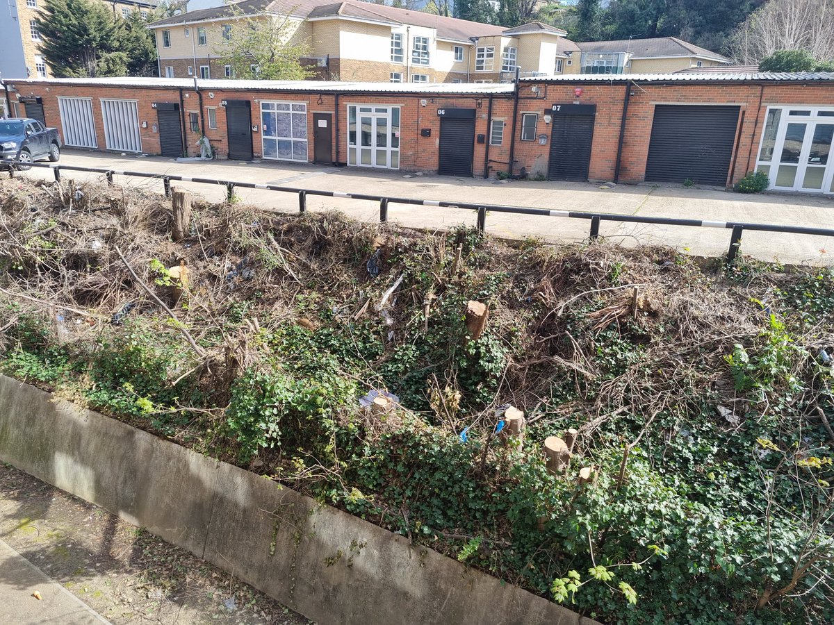 MainesChris's tweet photo. Having ignored their Tree Officer on Blackheath Hill #LewishamLabourCouncil are determined to do the same in Sydenham. @OfMais are fighting plans to destroy trees at Mais House.
#EndtheOnePartyState
#KeepmatureTrees https://t.co/QturrUlG2D