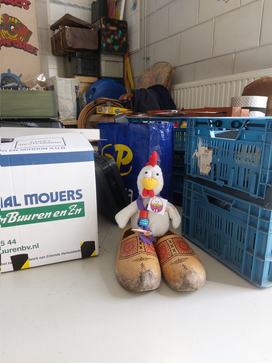 Mijn #leiding kipjes zijn hard aan het werk! Alles opruimen en inpakken om weer naar ons eigen stukje land te gaan. Ze zijn goed bezig. #Hit2022