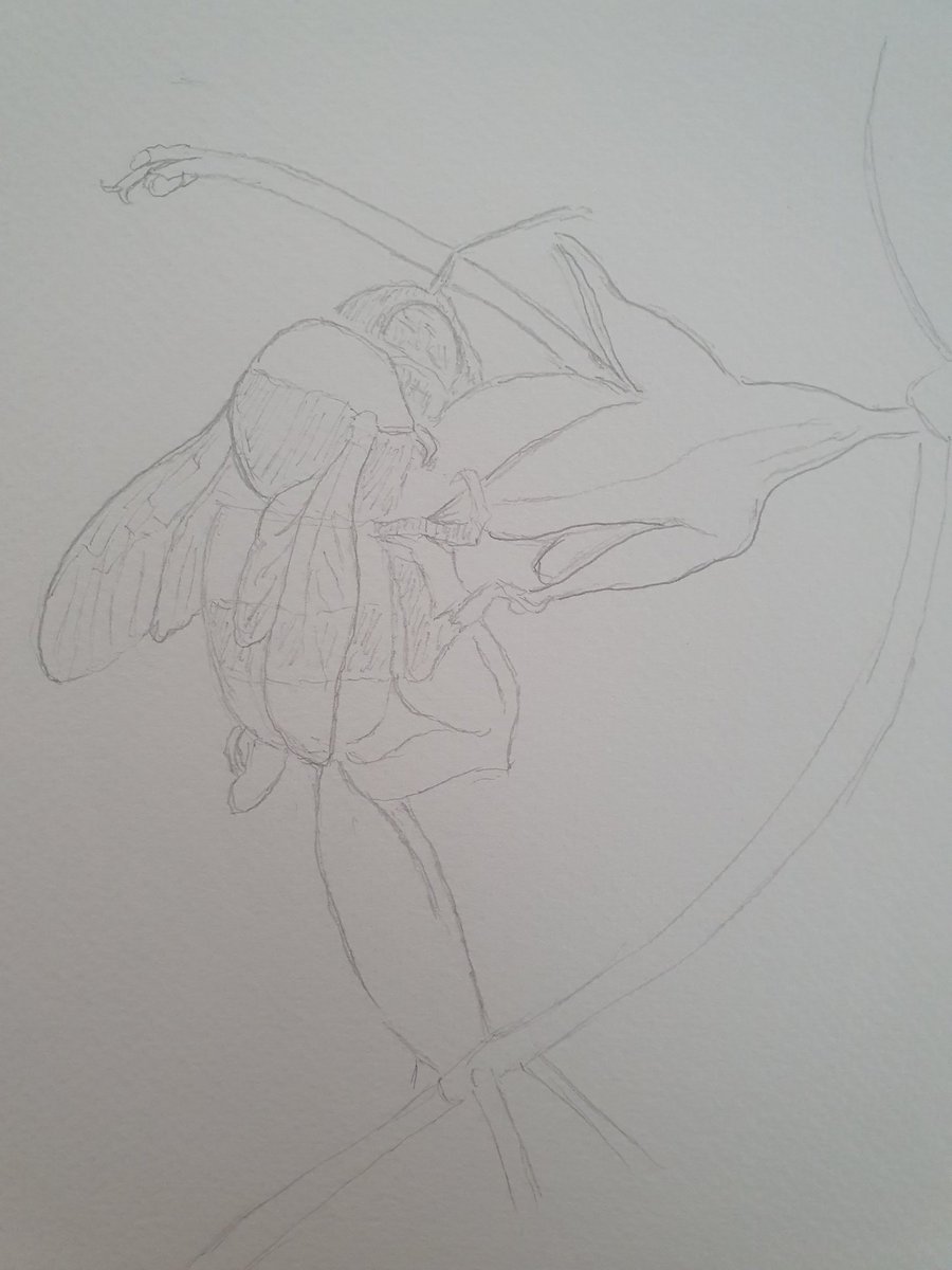 PMarlier's tweet photo. #JeDessine https://t.co/DwujSq4ZHu
