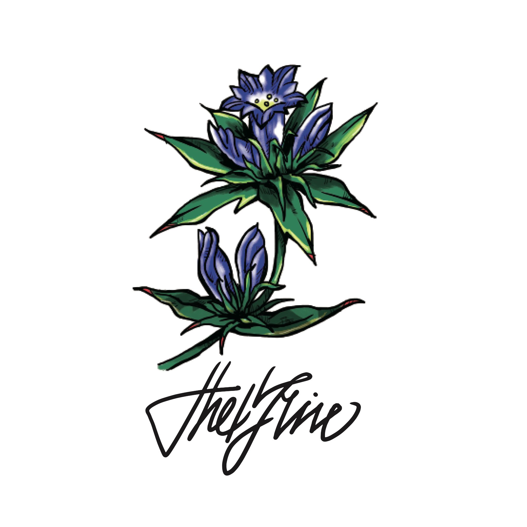 お盆の花 Twitter Search Twitter