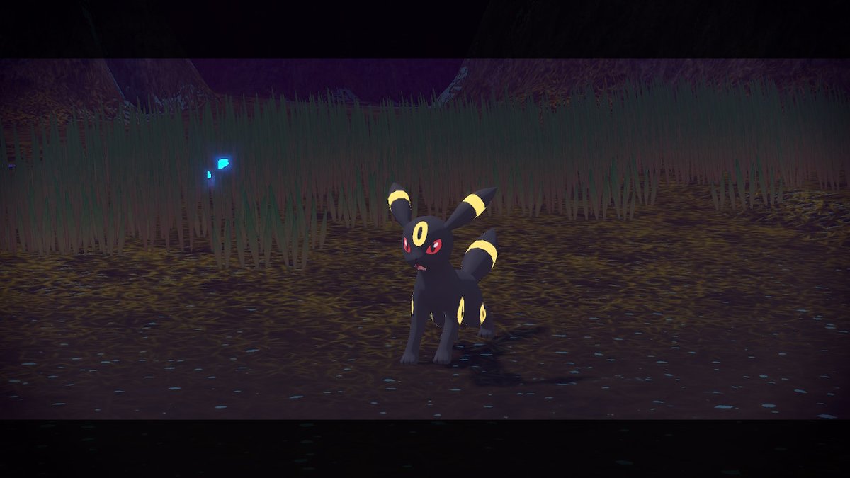Darikyun's tweet photo. #UMBREON!! :3
In a #SpaceTimeDistortion! ^w^
#Pokemon #PokemonArceus #Eevee #Eeveelutions #PokemonLegendsArceus #NintendoSwitch https://t.co/Lz49xKBRSV