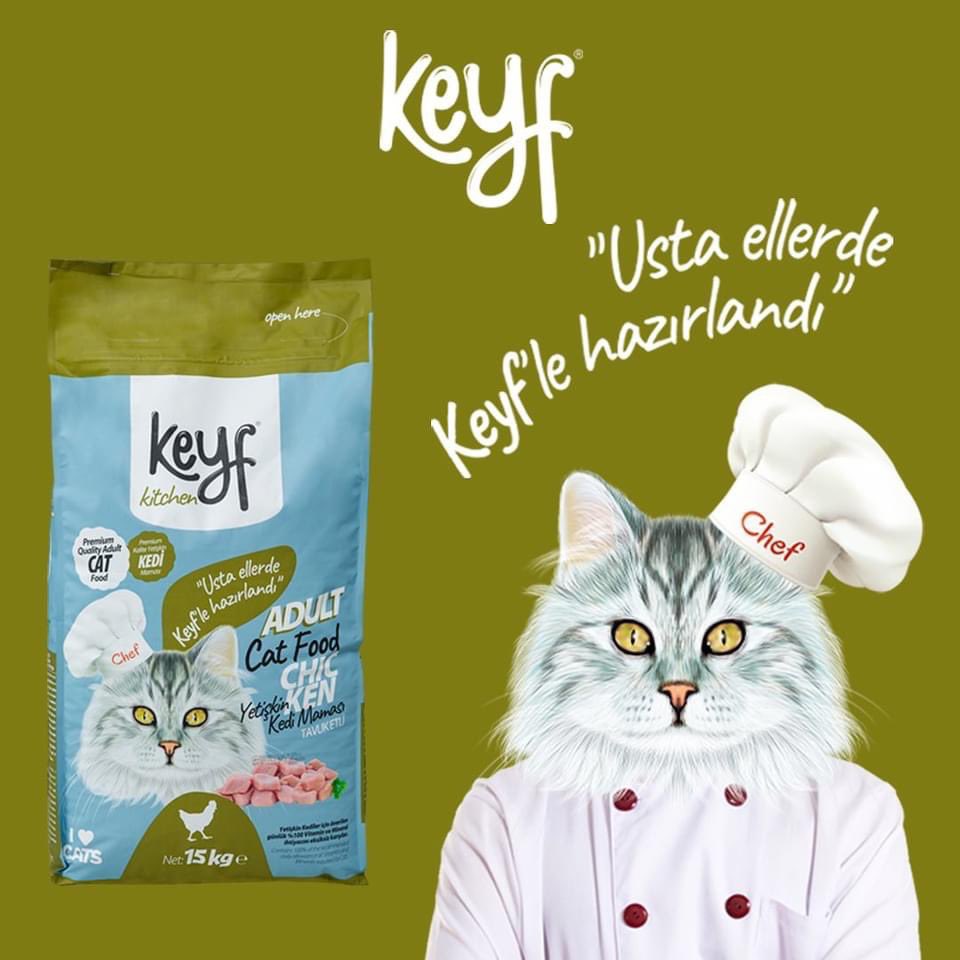 karadoganserkan's tweet photo. Keyf kitchen menüsünün  yeni lezzeti tavuk etli ve kuzu etli kuru mamalar çıktı.😻🐶 
#mercanpet #keyfpet #petshop #pet #dogfood #catfood #chicken #lamb #kedi #köpek #evcilhayvan #kurumama https://t.co/xSkp5h2ttB