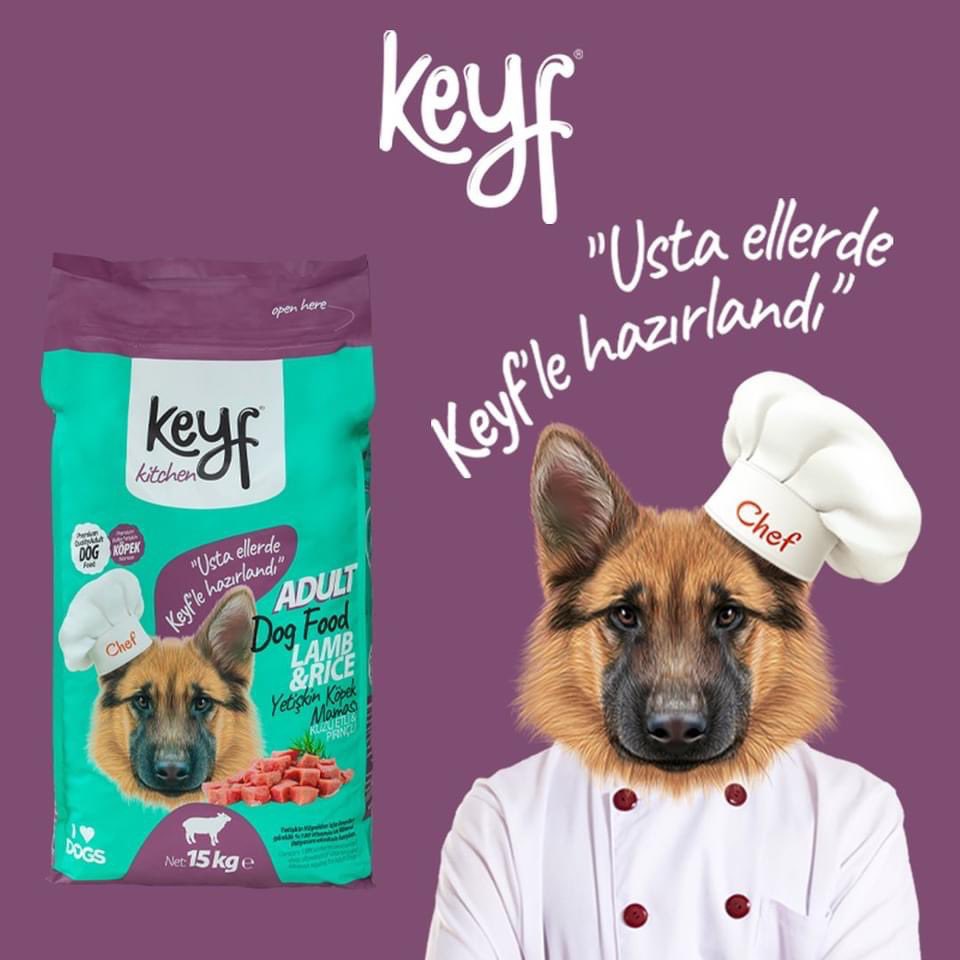 karadoganserkan's tweet photo. Keyf kitchen menüsünün  yeni lezzeti tavuk etli ve kuzu etli kuru mamalar çıktı.😻🐶 
#mercanpet #keyfpet #petshop #pet #dogfood #catfood #chicken #lamb #kedi #köpek #evcilhayvan #kurumama https://t.co/xSkp5h2ttB