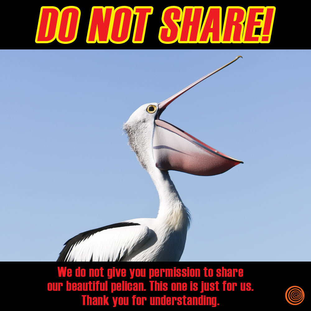 You may not share our pelican. Thanks.
