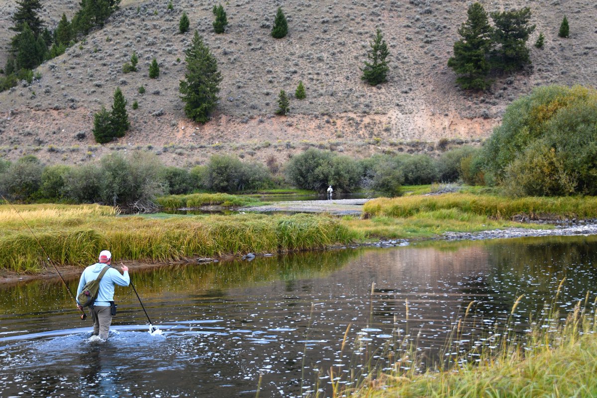 "I go to #nature to be soothed and healed, and to have my senses put in order." —John Burroughs

#flyfishing