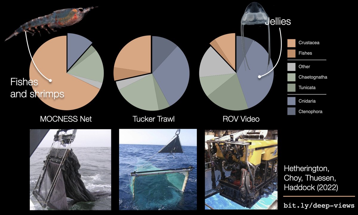 How we think about life in the deep ocean depends on the tools we use to view it. Using three different survey methods we found dramatically divergent pictures of deep-sea communities — and the most commonly used method doesn't sample jellies effectively. bit.ly/deep-views