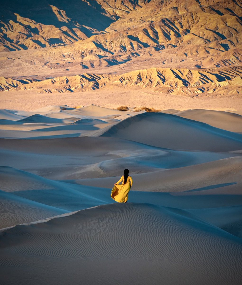 SarahLyndsay tweet media