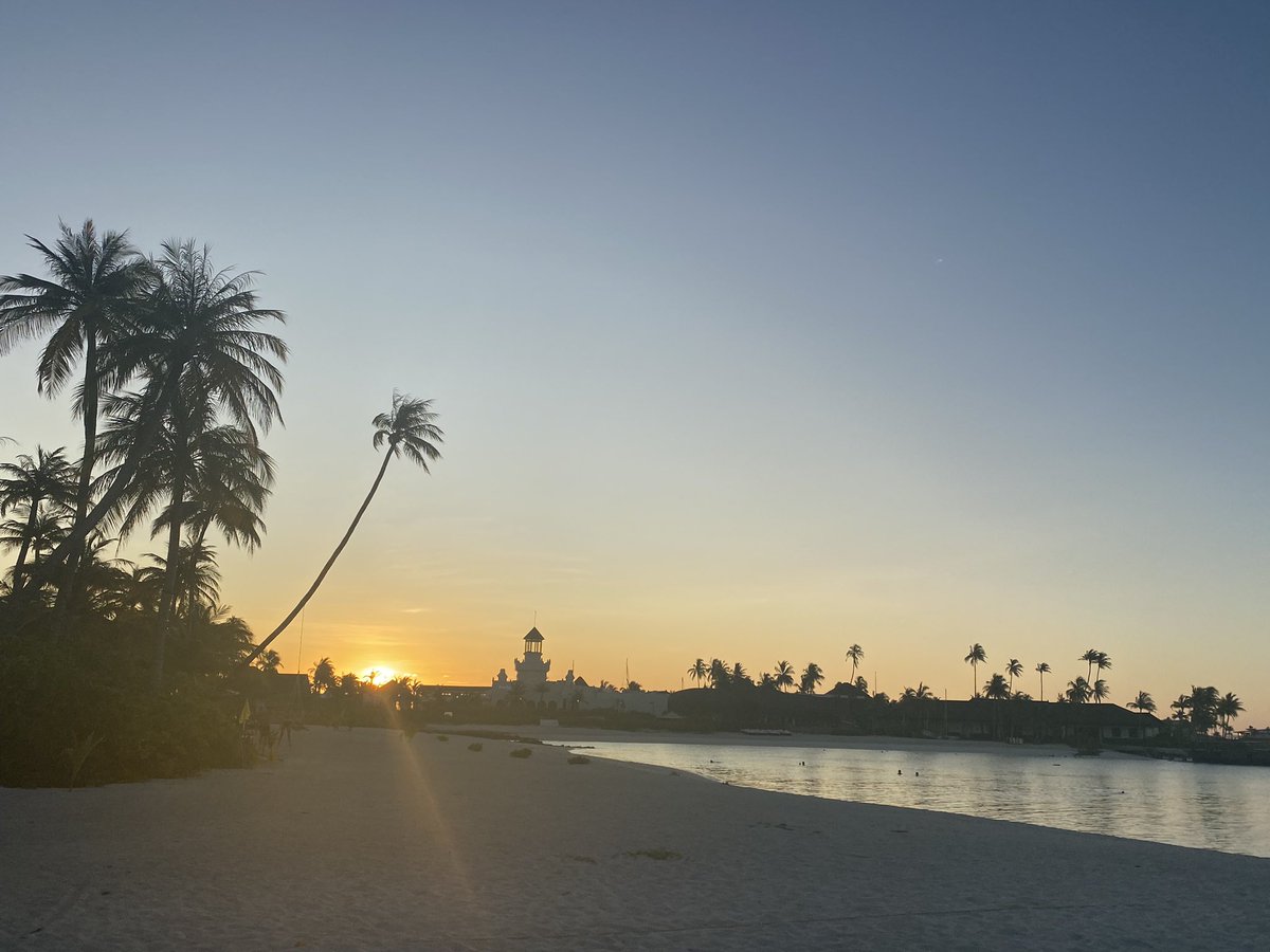 lynnychops's tweet image. My views for today. I’ve had worse!