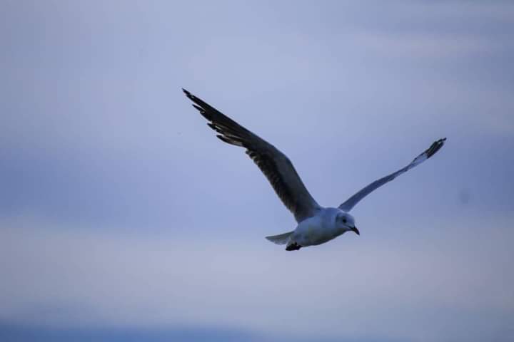 <a href="/t2in2rs/">2in2rs. TwinTourist</a> <a href="/BskTravel/">BSK Travel</a> <a href="/mybeaudest/">Our wonderful planet</a> <a href="/BirdWatchingMy/">Bird Watching Asia</a> @ThrivingTourist <a href="/BlessingSafaris/">Blessing Safaris</a> @tours_cornwall