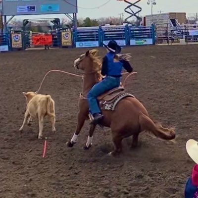 campbellcooper_'s tweet photo. #NewProfilePic https://t.co/kVWrUCe5NP