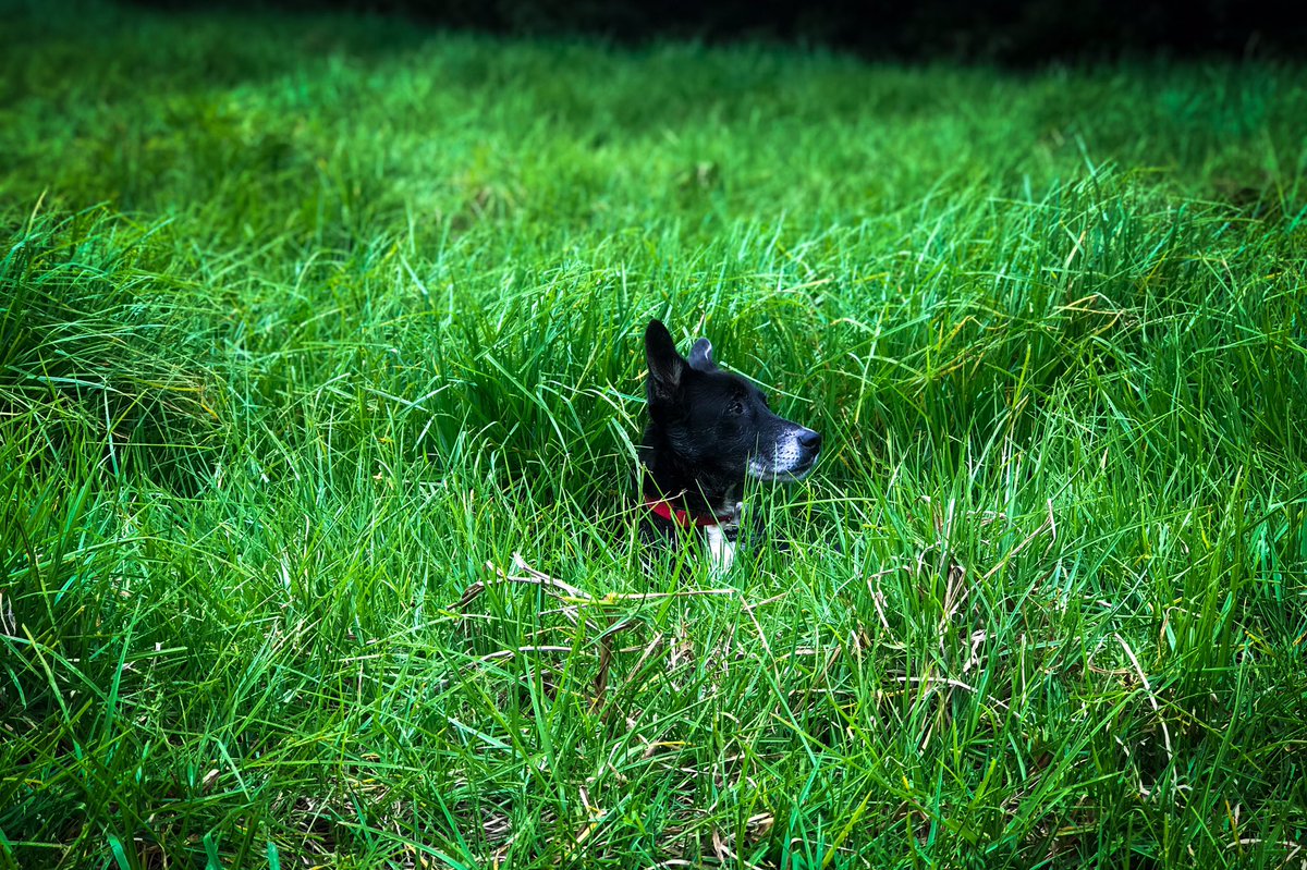 Kinsley Jean 🇭🇹 tweet media