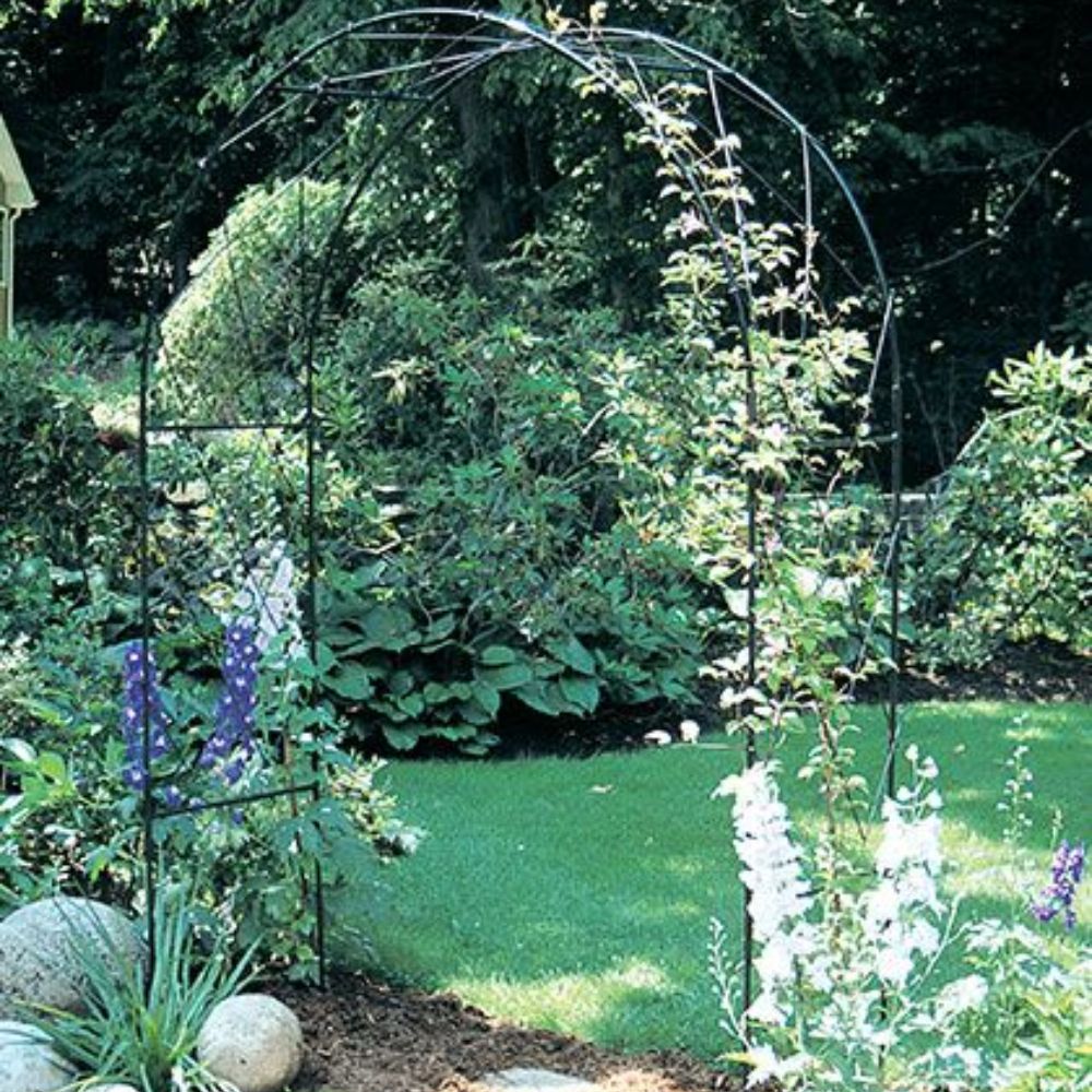 FeatureGarden's tweet image. Arches, Tunnels &amp;amp; Gazebos: Oregon arch for softstanding (black): featuregarden.co.uk/shop/garden-it…

#gardenarch #gardenfeature #gardenrches #arch #climbingplants