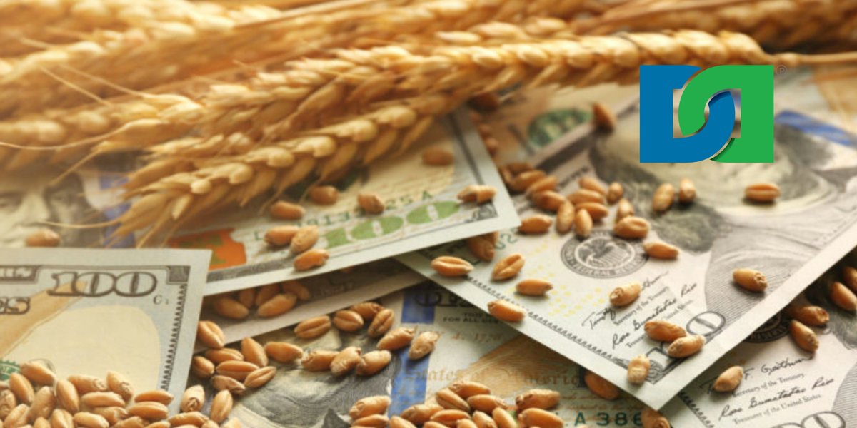 Increased consumption &amp; panic-stricken buying is impacting #wheat current &amp; futures in tandem with supply short from major exporting countries but factors like gluten allergy will pose a negative effect. Wheat is anticipated to record a CAGR of 4.5% during the period of 2022-27.