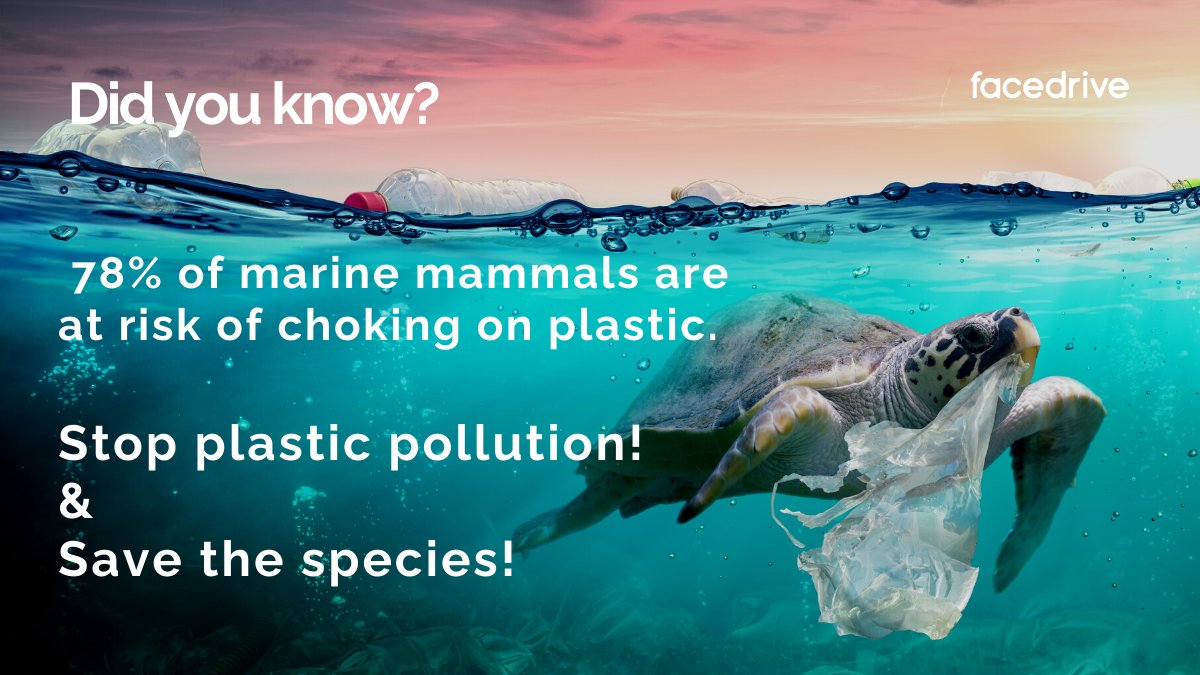SteerESG's tweet photo. Did you know! π±
78% of marine mammals are at risk of choking on plastic! ππ¦
Stop plastic pollution!
&
Save the species!
#mondaymotivation #nature #enviornment #ecofriendly #facedrive #peopleandplanetfirst https://t.co/4NR14wcqgv