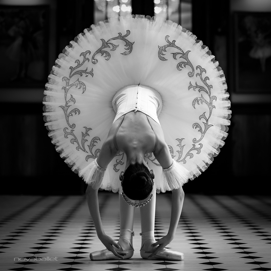 Monochrome Monday #monochromemonday #ballet #balletdancer #danceartist #ballerina #beauty #beautiful #dance #dancer #dwts #art #artist #aesthetic