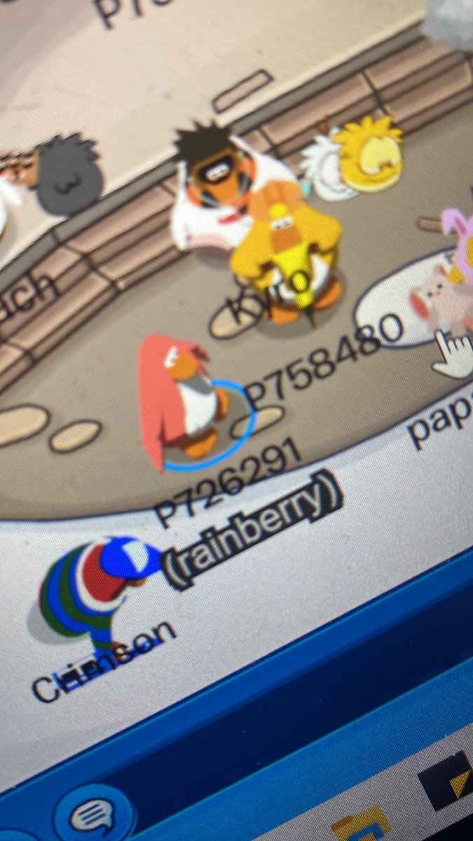 rainberry newcp🐧 tweet media