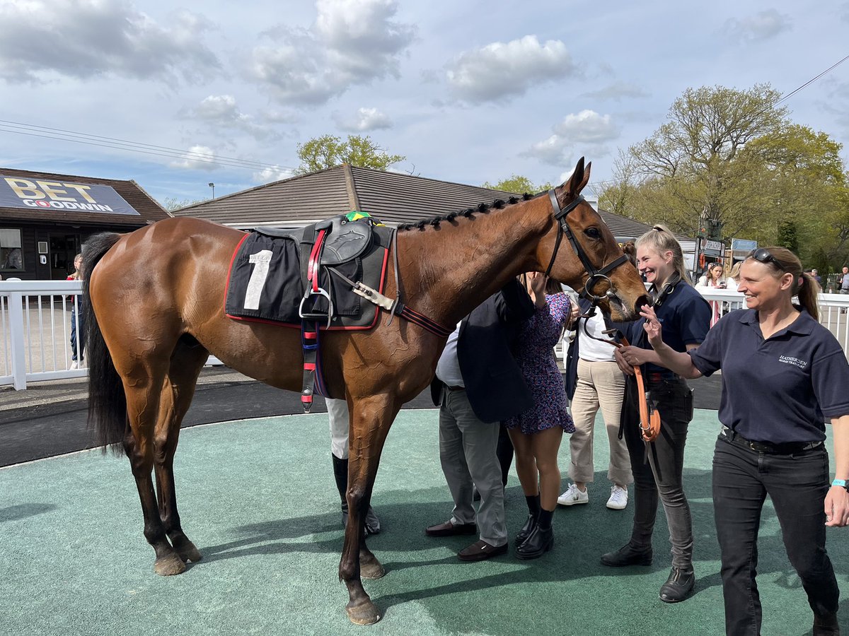 Plumpton Racecourse tweet media