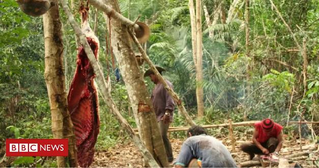 bbcbrasil's tweet photo. Como desmatamento pode aumentar anemia em crianças na Amazônia  https://t.co/yoZYJNhyzH https://t.co/TZNKo9jeG6