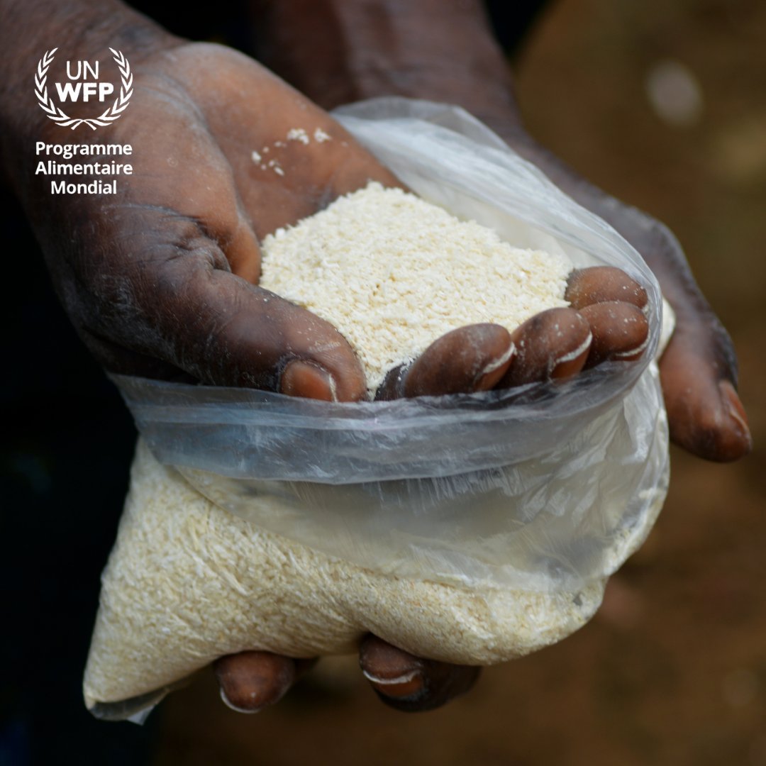 PamCongo's tweet photo. Le manioc est la plante la plus cultivée et consommée au 🇨🇬.
Depuis 2020, @PamCongo accompagne les producteurs de la Bouenza dans la transformation du manioc en ses dérivés comme le gari.
➡️C'est le projet #ProManioc appuyé par @UeCongoBrazza @EU_Partnerships 🇪🇺❤️ https://t.co/fCh6sU2NAP