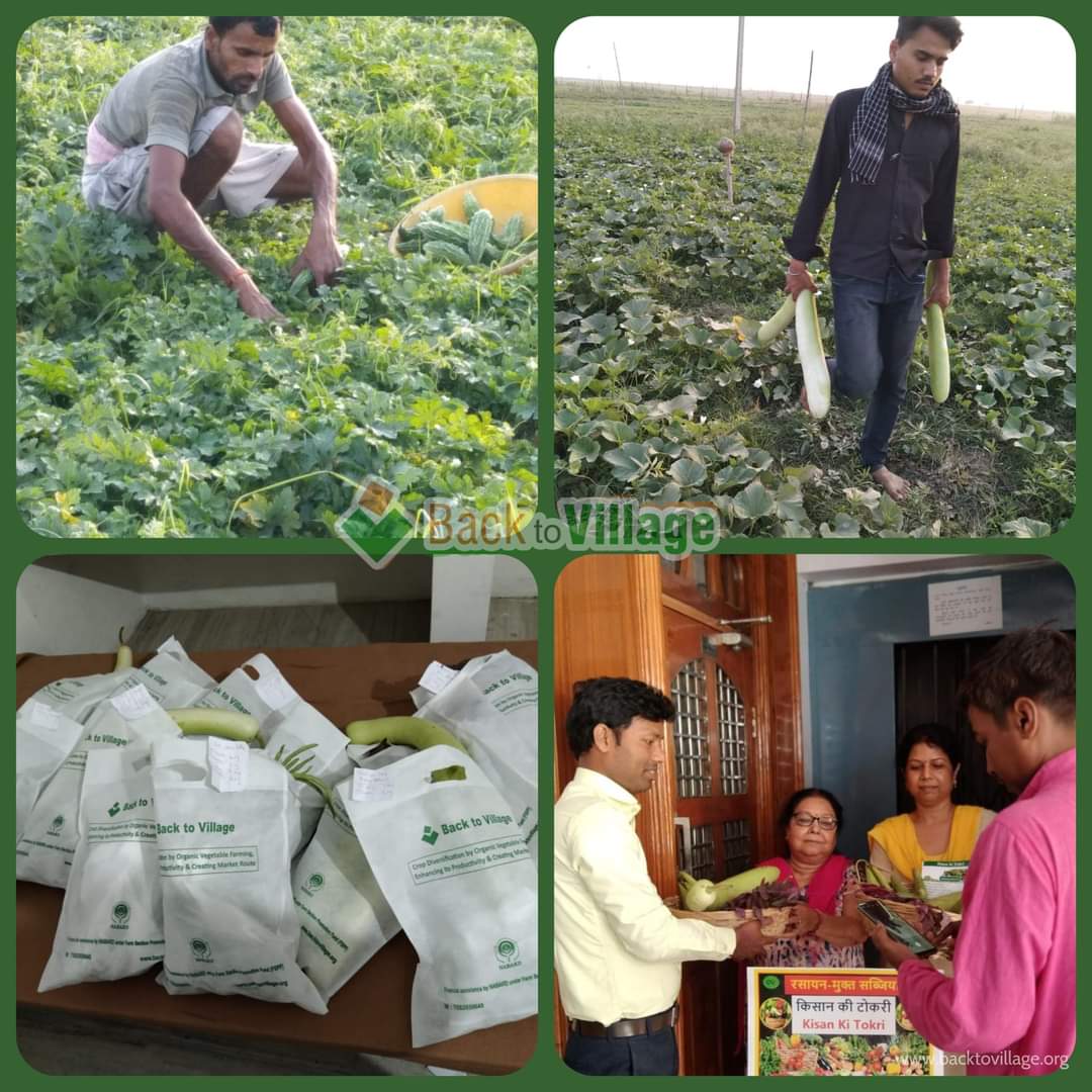 Under our guidance, #organic farmers of Sonepur (Bihar) have successfully delivered their first lot of orders to the consumer today. #KisanKiTokri is a small initiative by us towards a healthier future with the financial assistance from <a href="/NABARDOnline/">NABARD Online</a>.
#BackToVillage #NatuEco