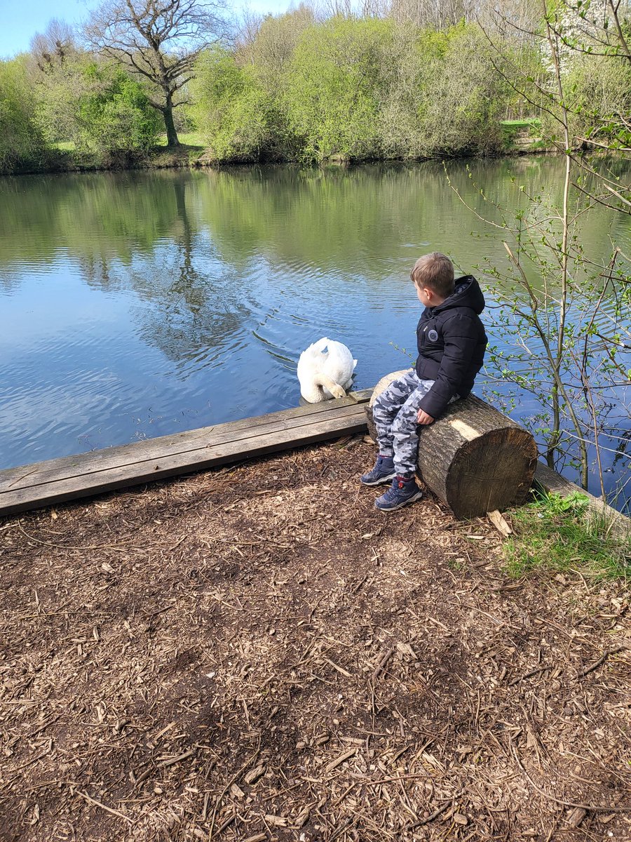 NicholaColliver's tweet photo. Had a look for some Easter spoons today, we enjoyed the visit from this Swan too 🦢 @LadywoodKH @MissMWatkins1 https://t.co/7tKeZz420f