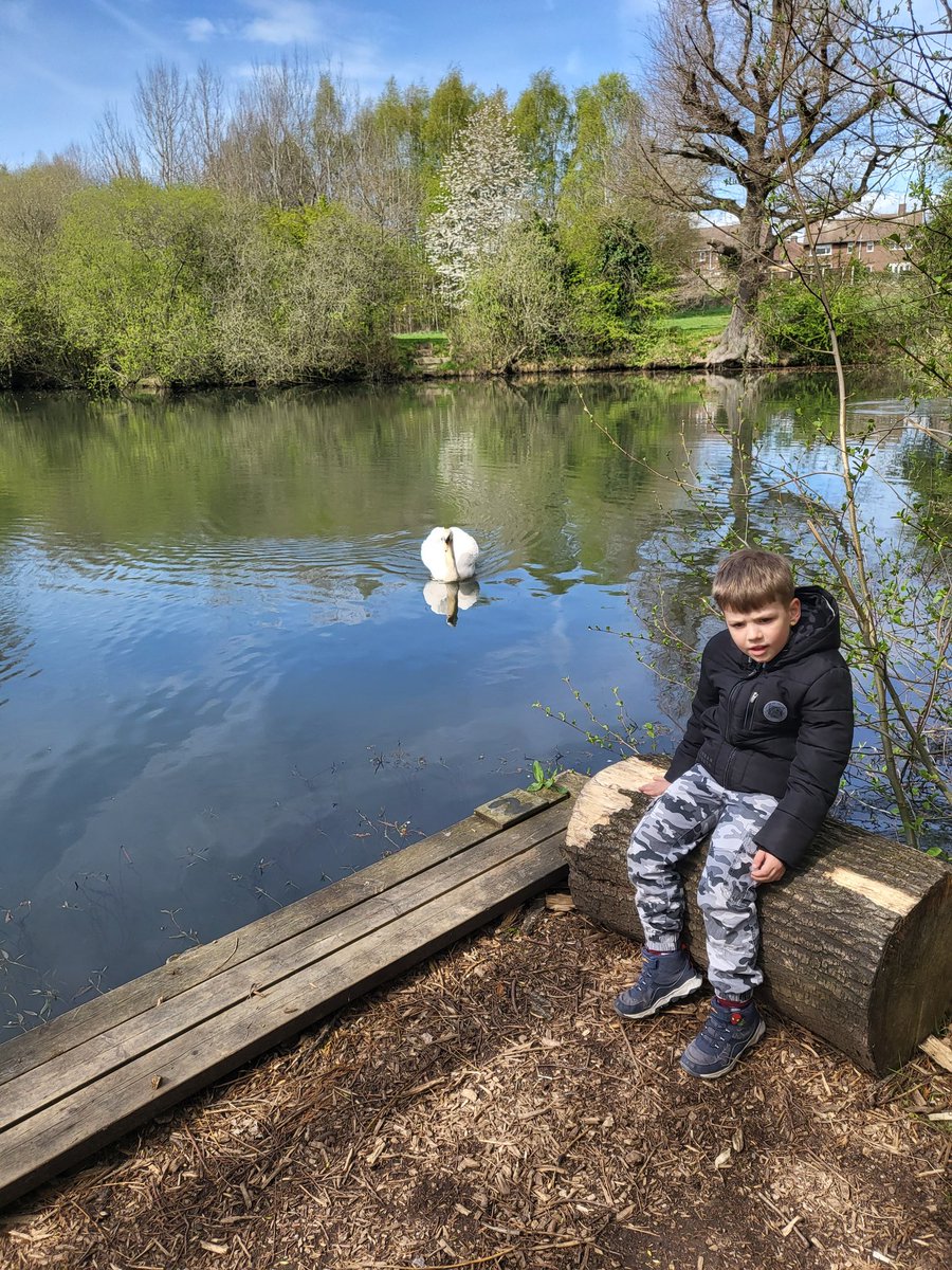 NicholaColliver's tweet photo. Had a look for some Easter spoons today, we enjoyed the visit from this Swan too 🦢 @LadywoodKH @MissMWatkins1 https://t.co/7tKeZz420f
