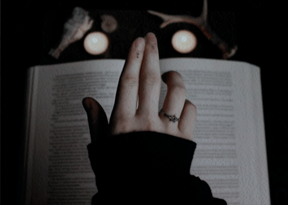 deadwsociety's tweet photo. ❝Deep into that 𝖉𝖆𝖗𝖐𝖓𝖊𝖘𝖘 peering, long I stood there, 𝑤𝑜𝑛𝑑𝑒𝑟𝑖𝑛𝑔, 𝑓𝑒𝑎𝑟𝑖𝑛𝑔, 𝑑𝑜𝑢𝑏𝑡𝑖𝑛𝑔, 𝑑𝑟𝑒𝑎𝑚𝑖𝑛𝑔 dreams no 𝖒𝖔𝖗𝖙𝖆𝖑 ever dared to dream before.❞

            ➣ harry potter; 3ª gen
            ➣ rol cerrado https://t.co/wbnpjGdvTu