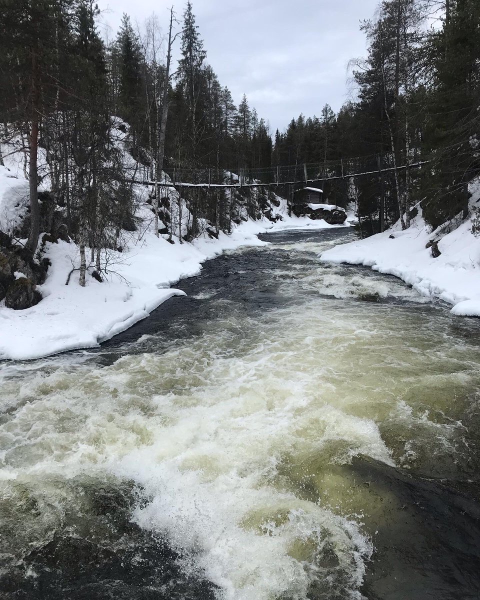 BirgittaNiskan1's tweet photo. Pääsiäisen #luontoliikuntapaikat oli Rukalla - #Valtavaaran huiputus ja #pienikarhunkierros #hiihtoa #laskettelua #vaellusta #arjentasapainottaja https://t.co/WyPbJnVq2F