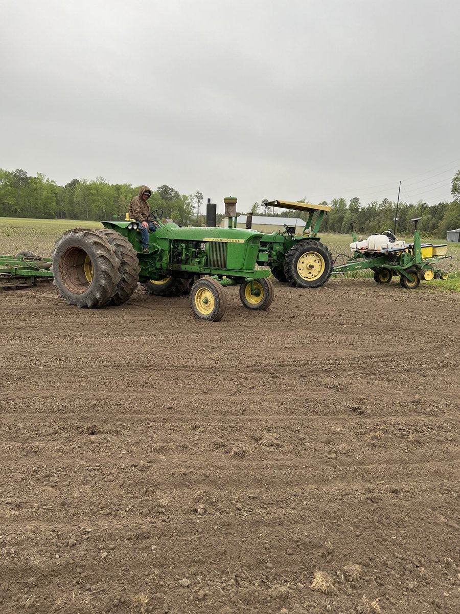 Todd Boyd tweet media